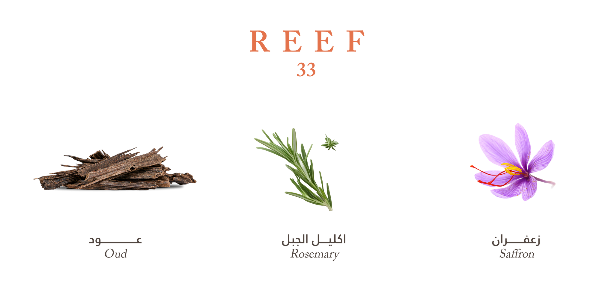 33 - Royal Oud Harmony By Reef