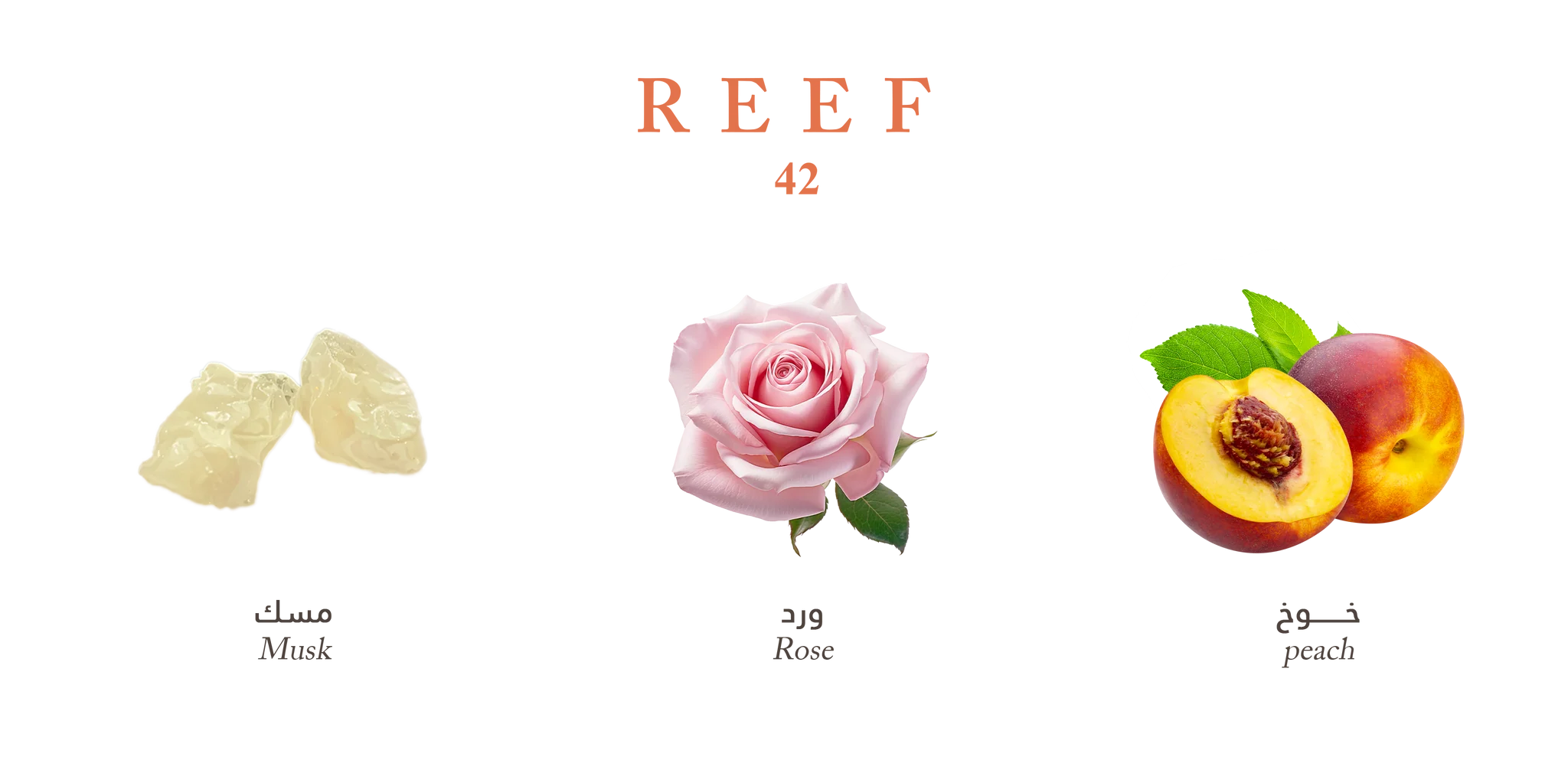 42 – Luxurious Rose Musk by Reef