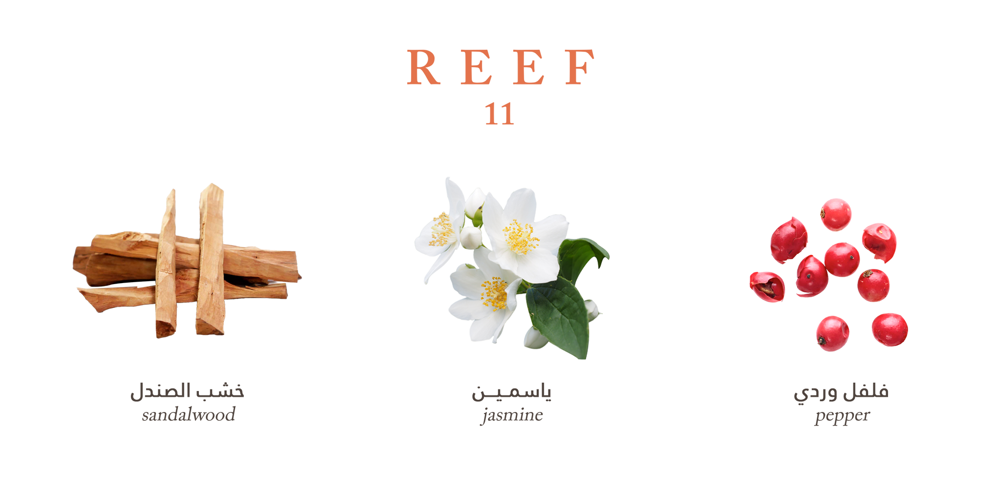 11 – Deep Sandalwood Sophistication by Reef