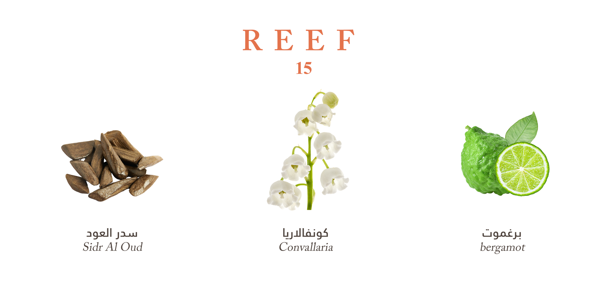 15 - Valor Fresh Oud by Reef