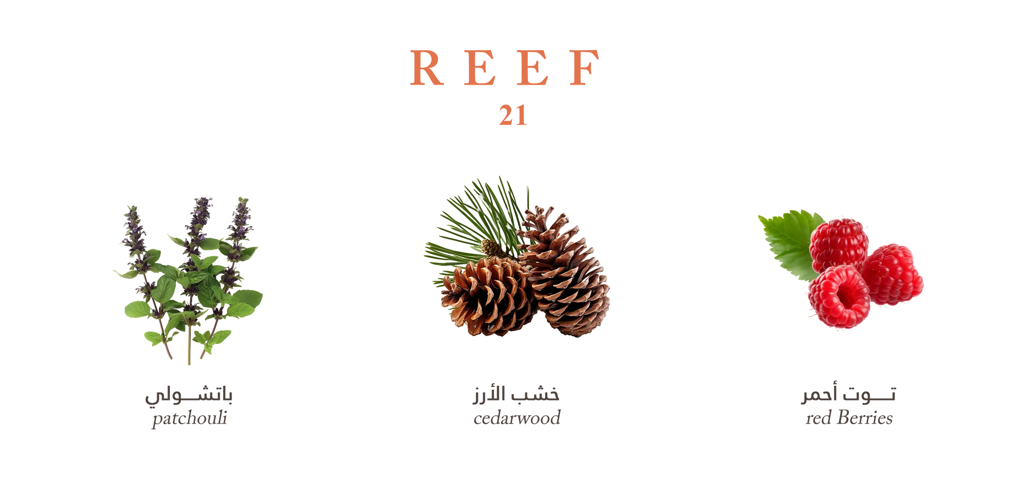 21 – Luxurious Rose Musk by Reef