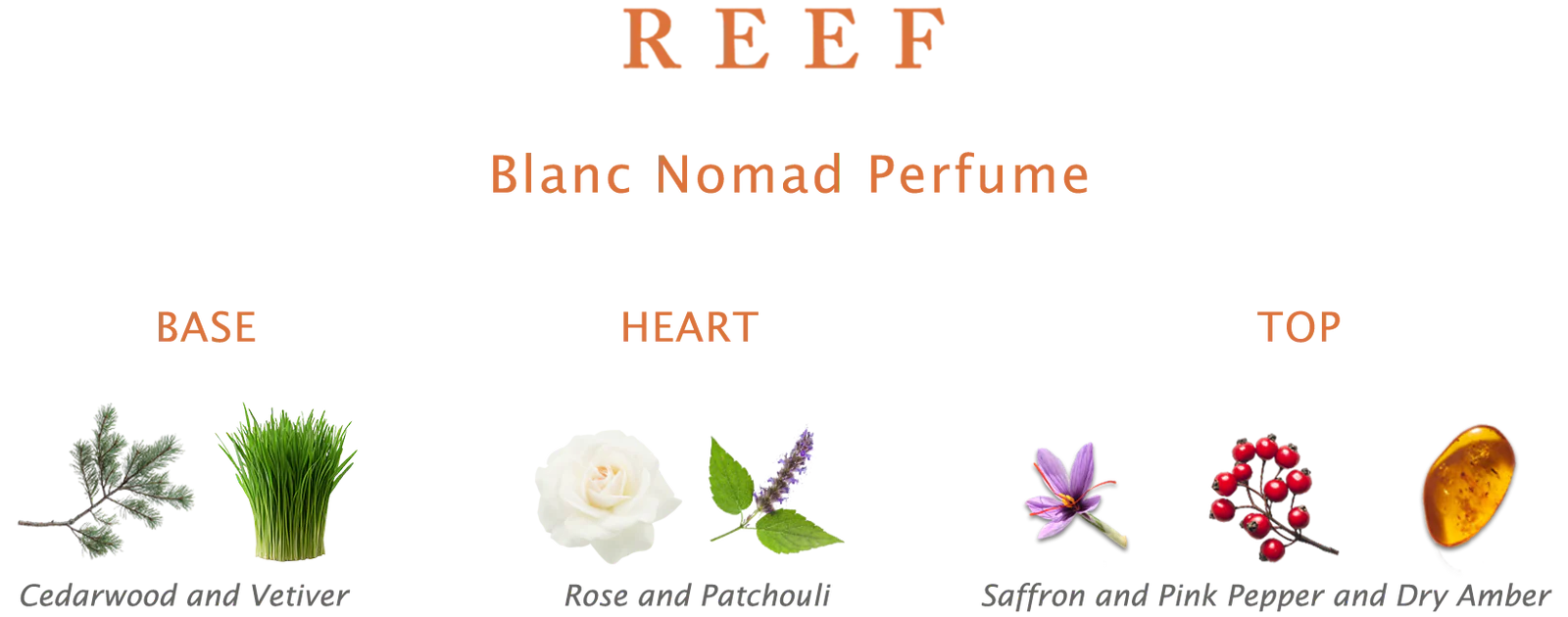 Blanc Nomad 150 ML by Reef