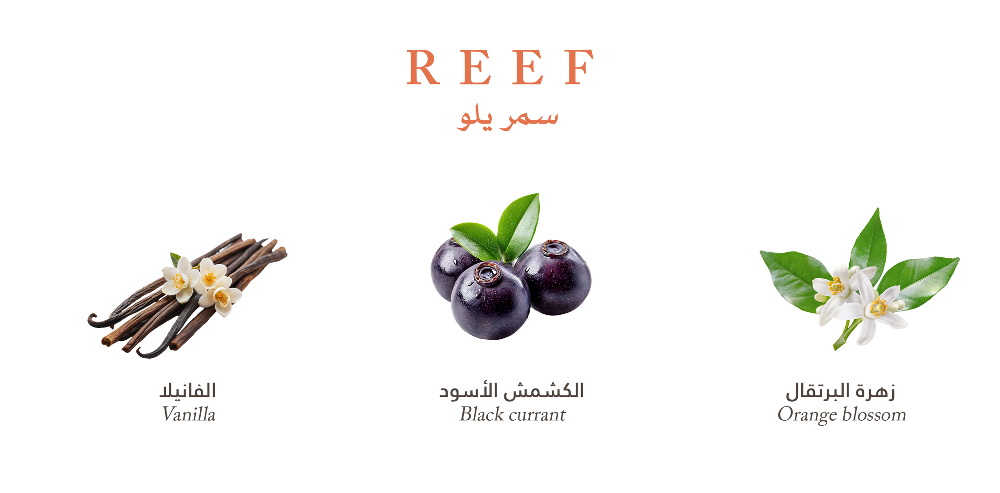 Yellow – Velvet Vanilla Cradle by Reef