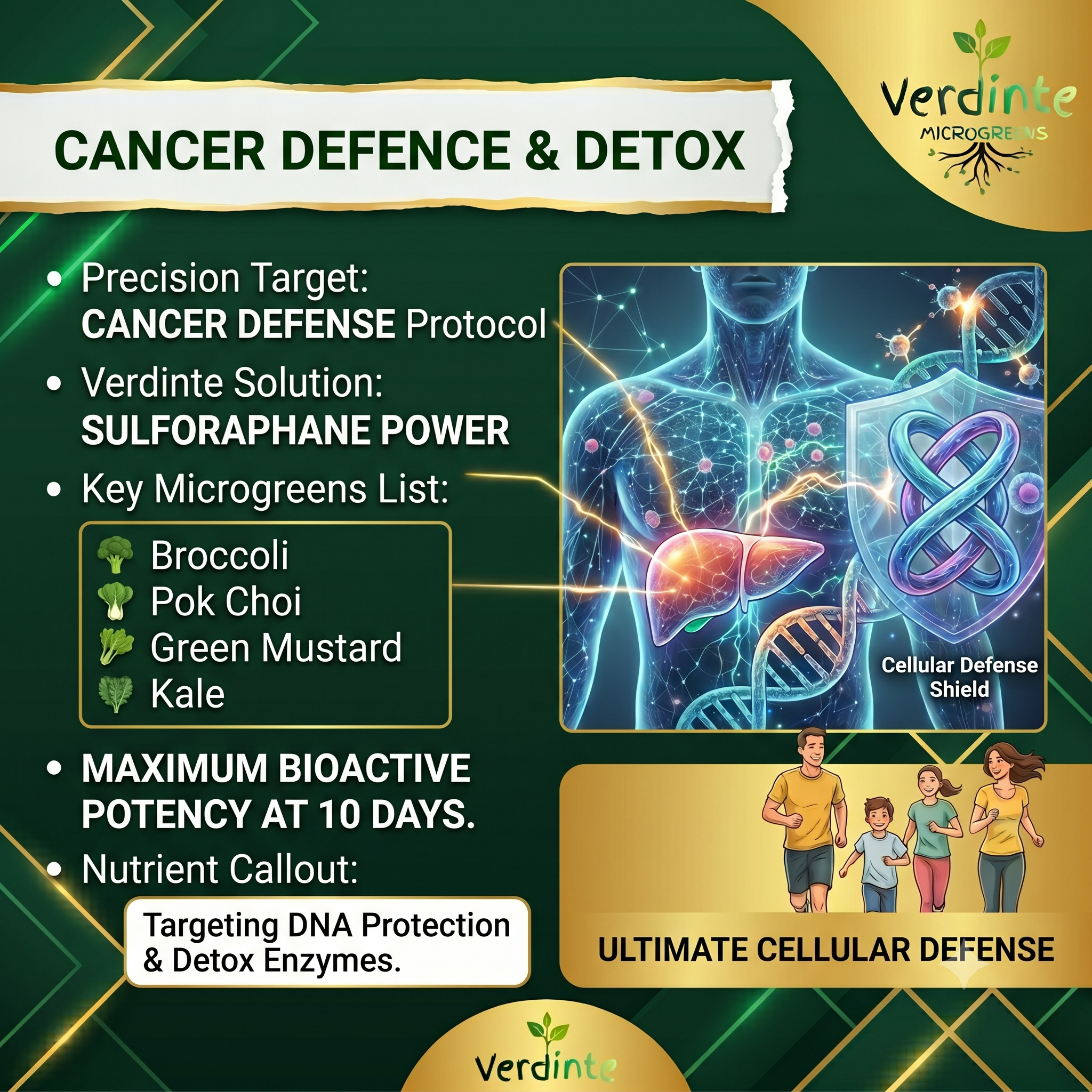 Cancer Defence & Detox