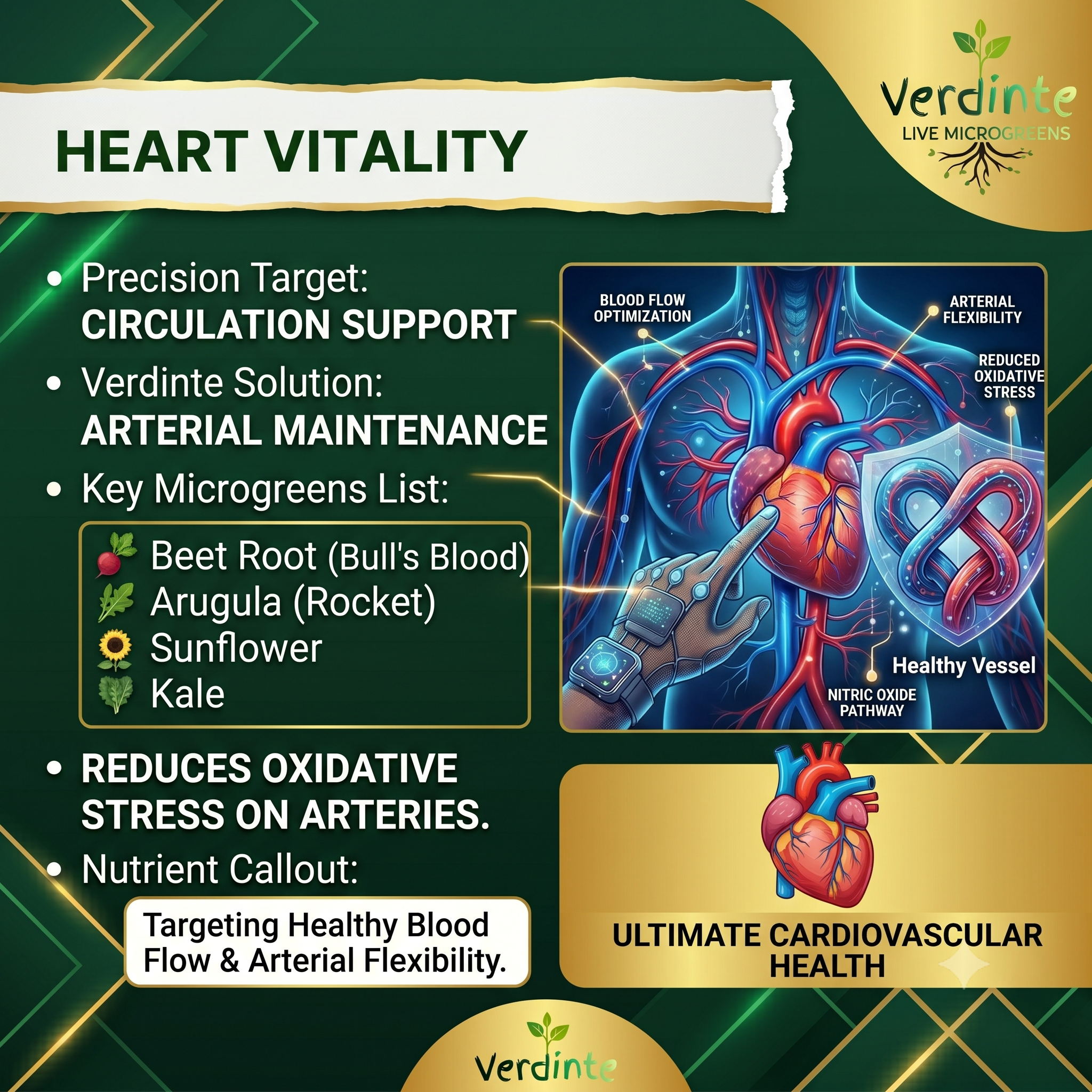 Heart Vitality