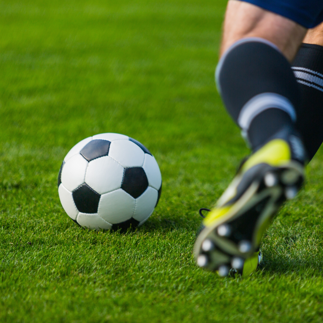 Mix Alto Tráfico Premium