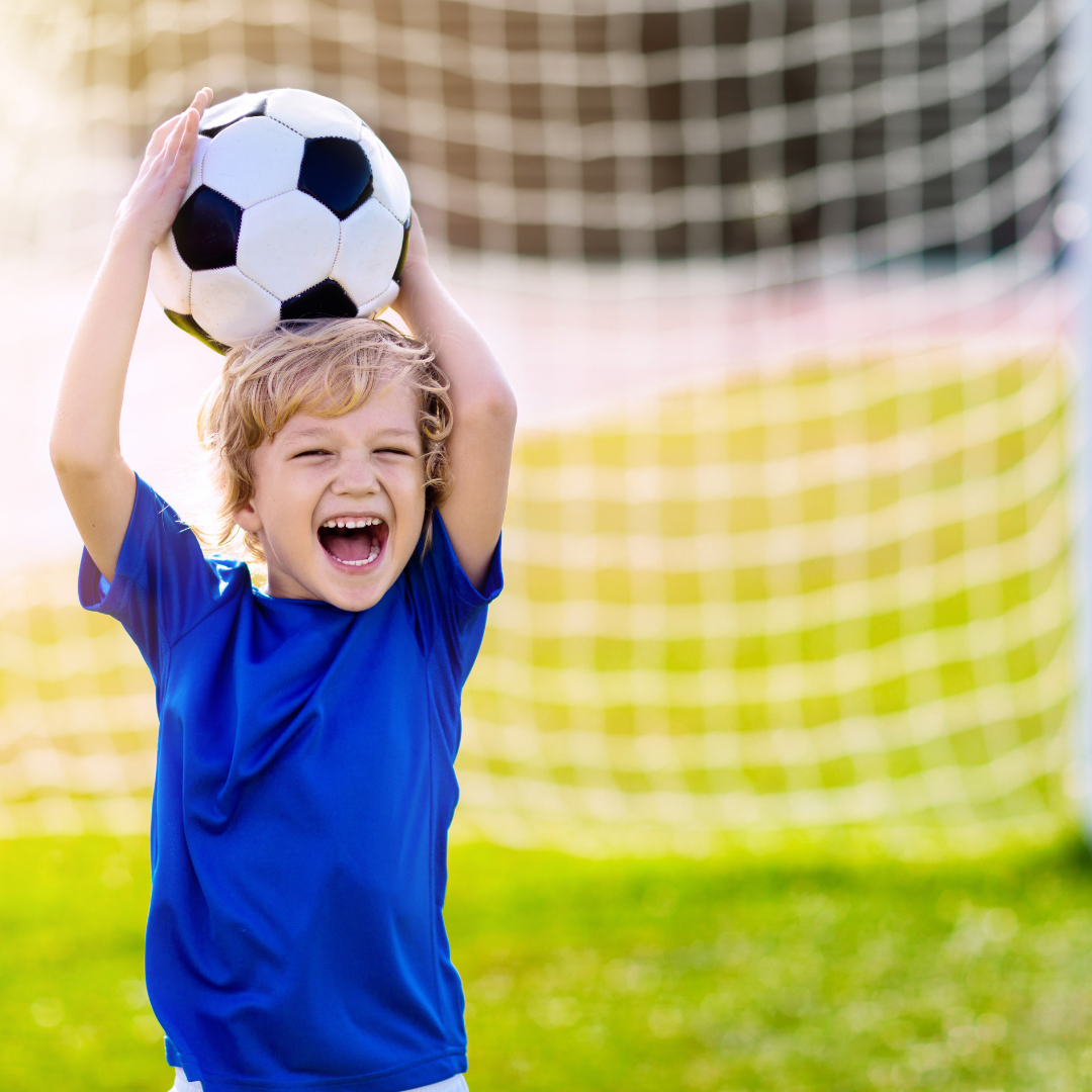 Mix Alto Tráfico Premium