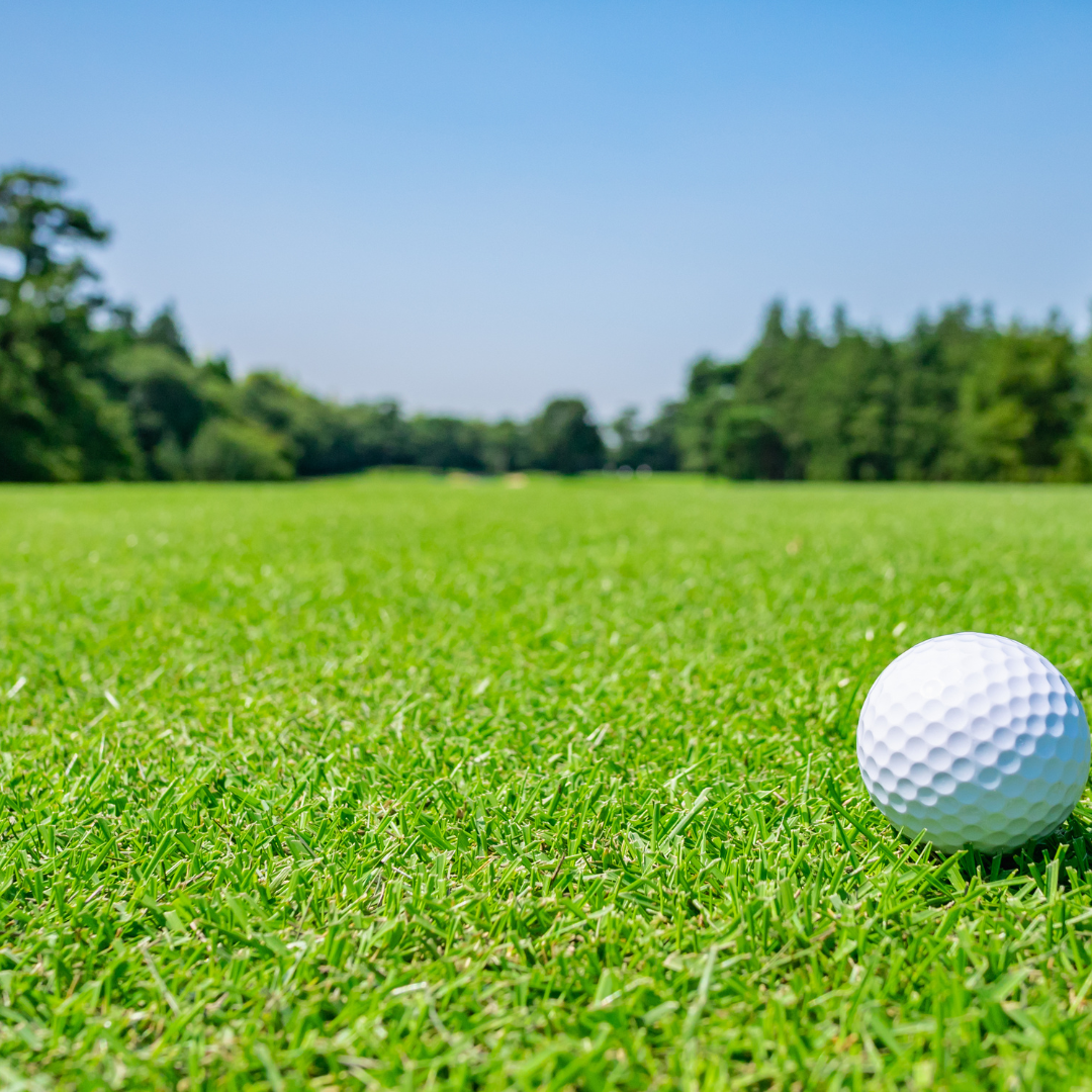 Semilla Golf Pro – Fairway & Tees