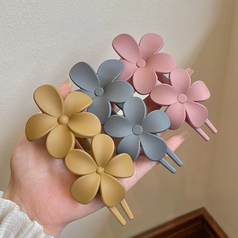 Clips FLEURS