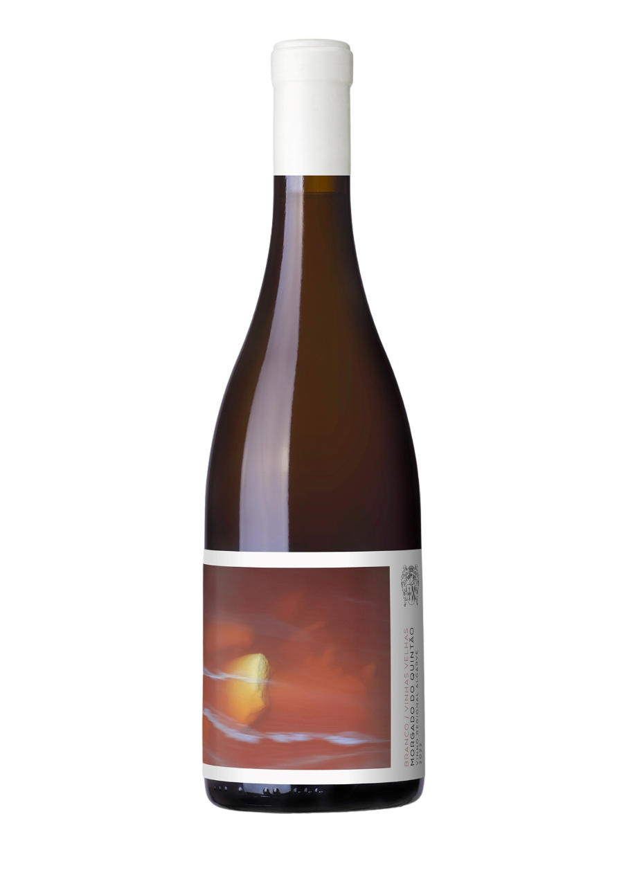 Morgado do Quintão Vinhas Velhas Branco 2022