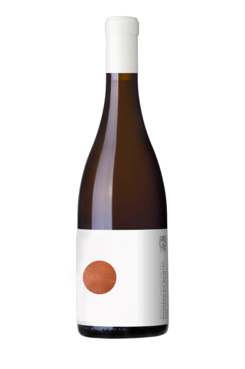 Morgado do Quintão Ânfora Branco 2023