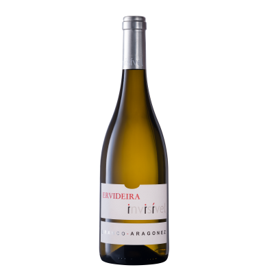 Ervideira Invisível – 2024