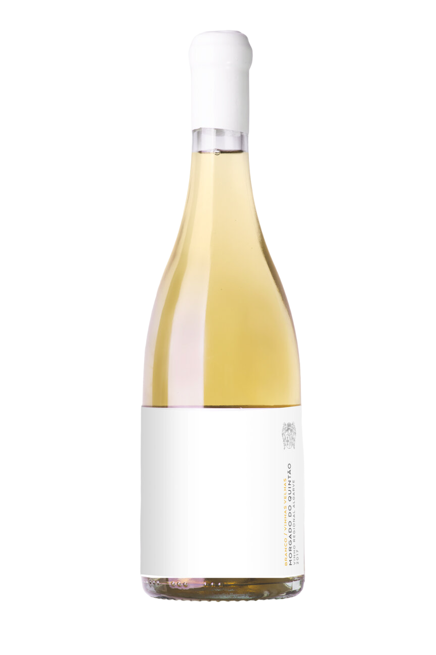 Morgado do Quintão Branco 2023