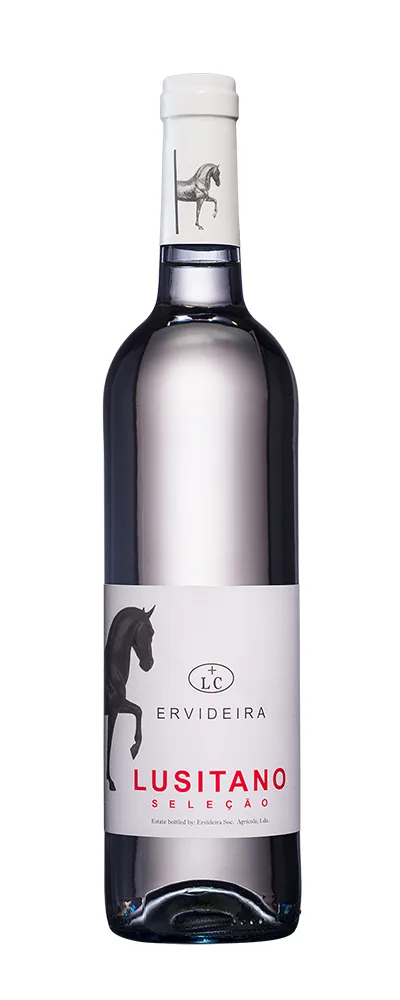 Lusitano Seleção Branco – 2015