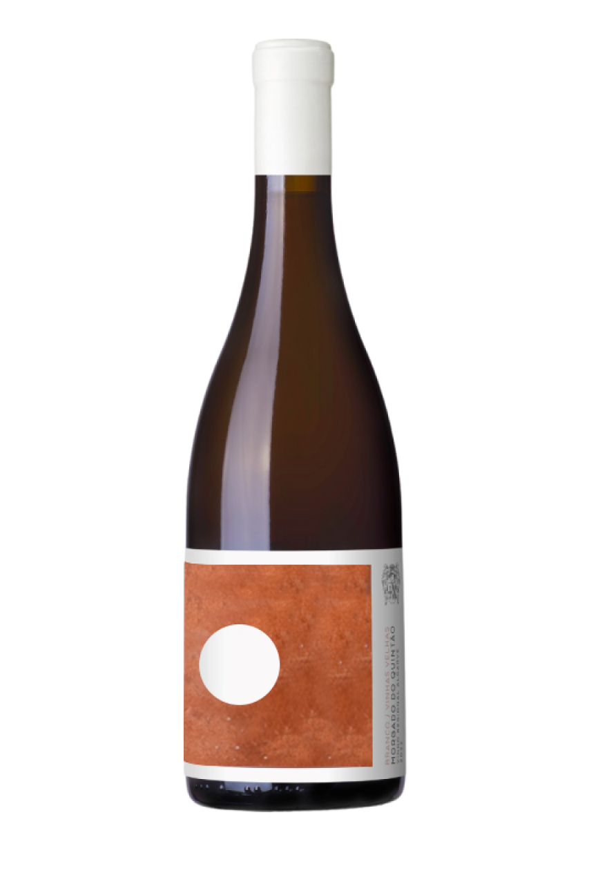 Morgado do Quintão Ânfora Tinto 2024