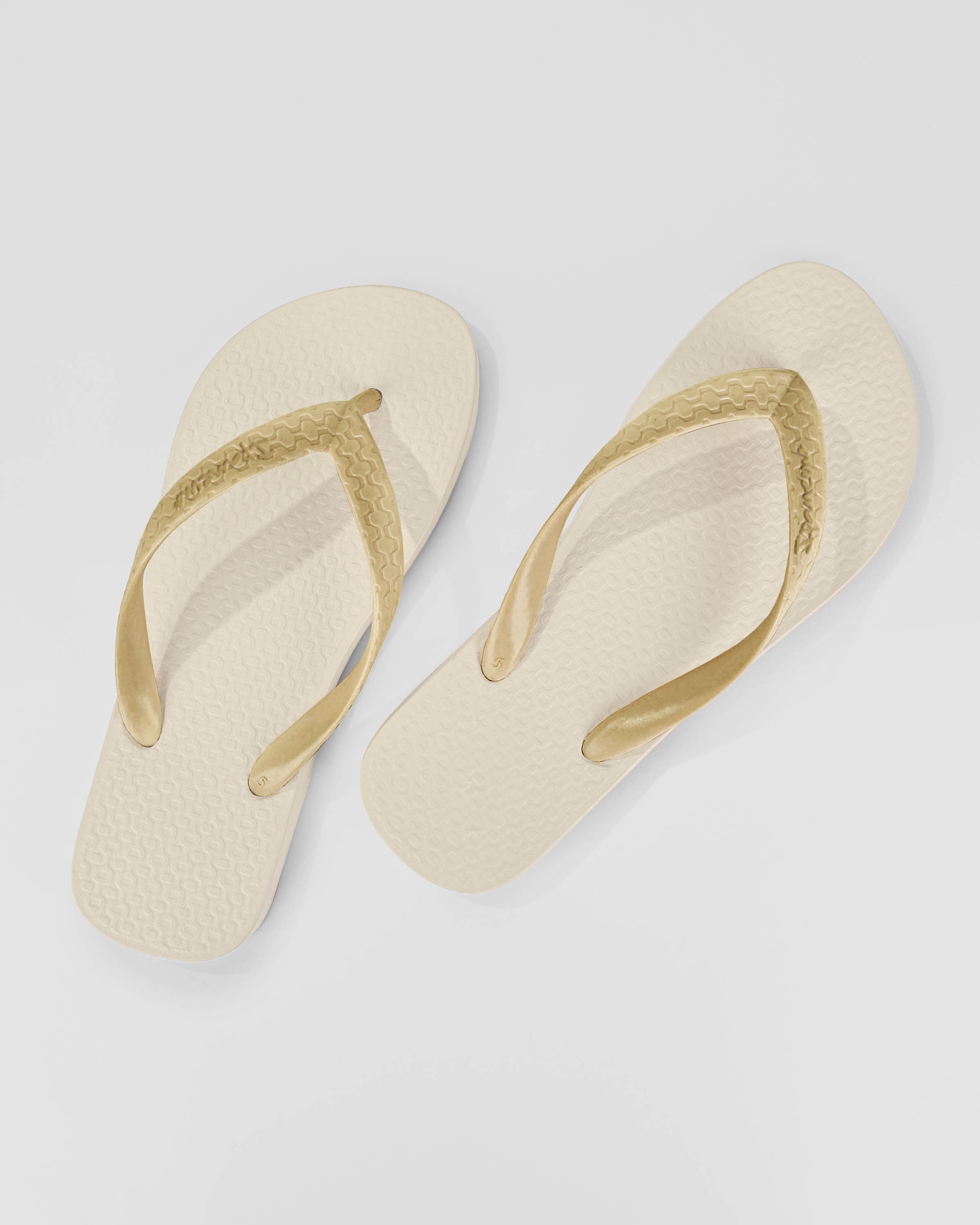 Chinelo Ipanema Clássica