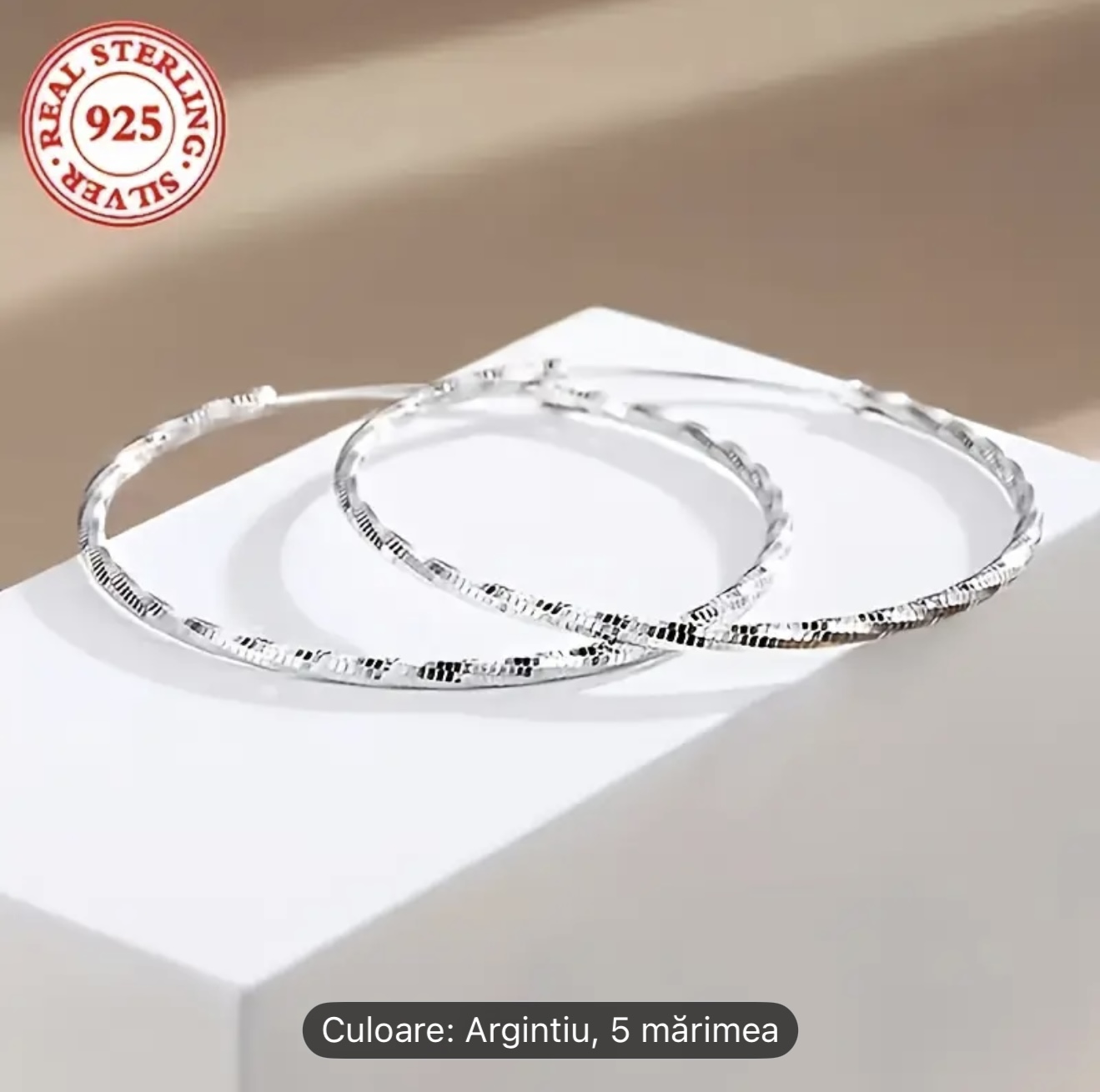 Cercei cu cerc de argint