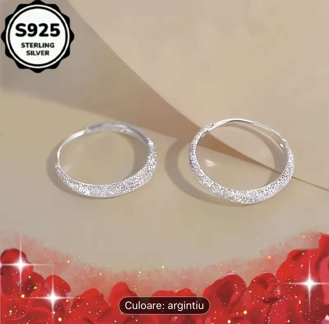 Cercei cu cerc de argint