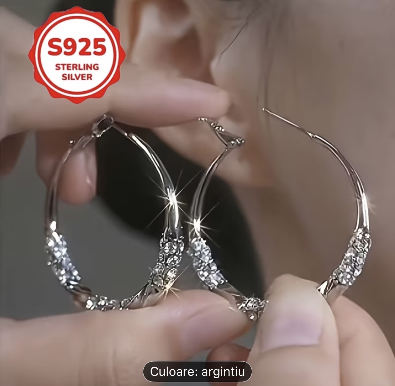 Cercei cu cerc din argint