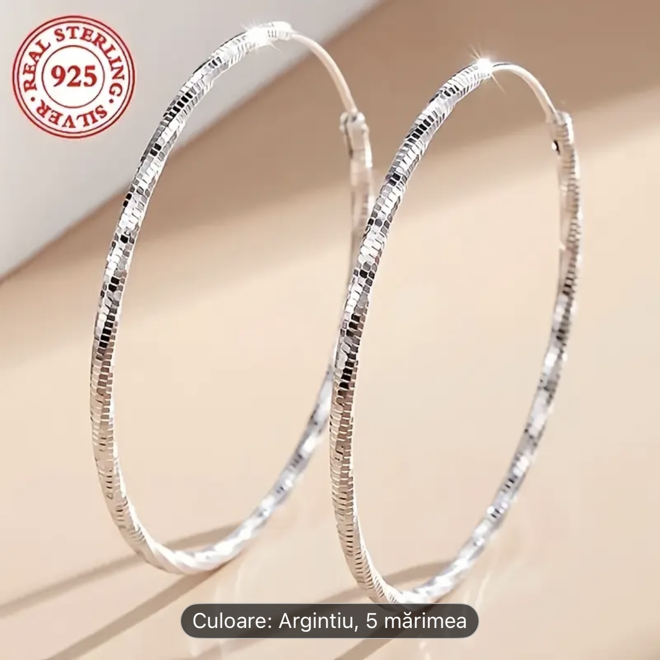 Cercei cu cerc de argint