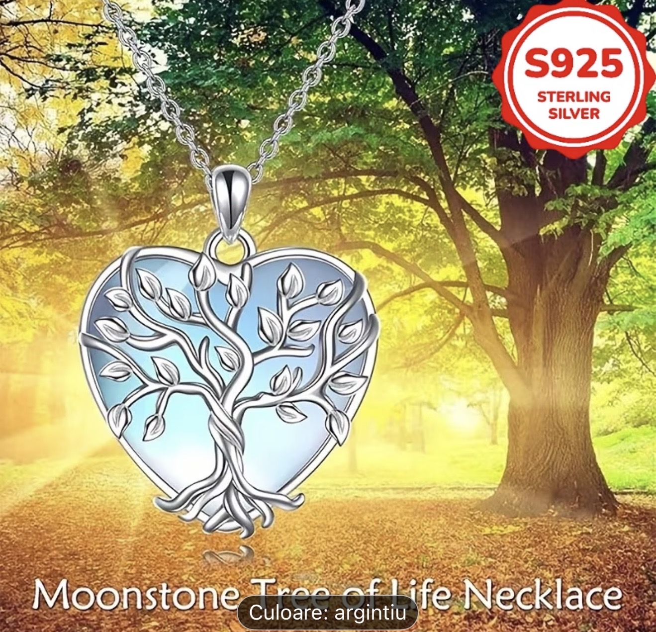 Colier cu pandantiv inimă din argint 925