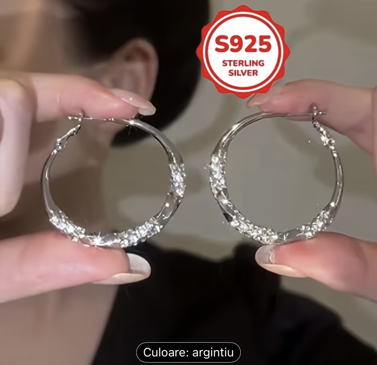 Cercei cu cerc din argint