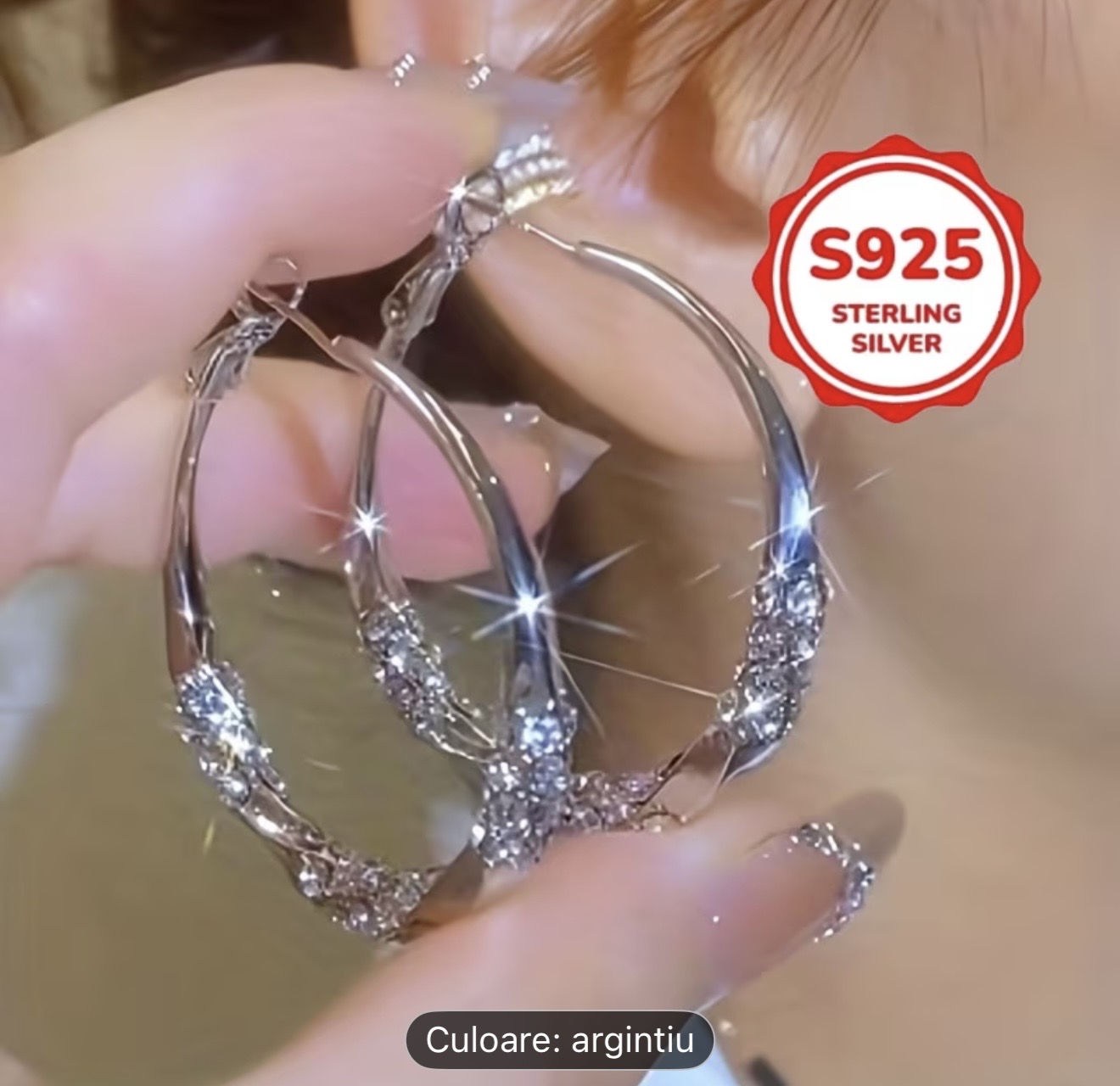 Cercei cu cerc din argint