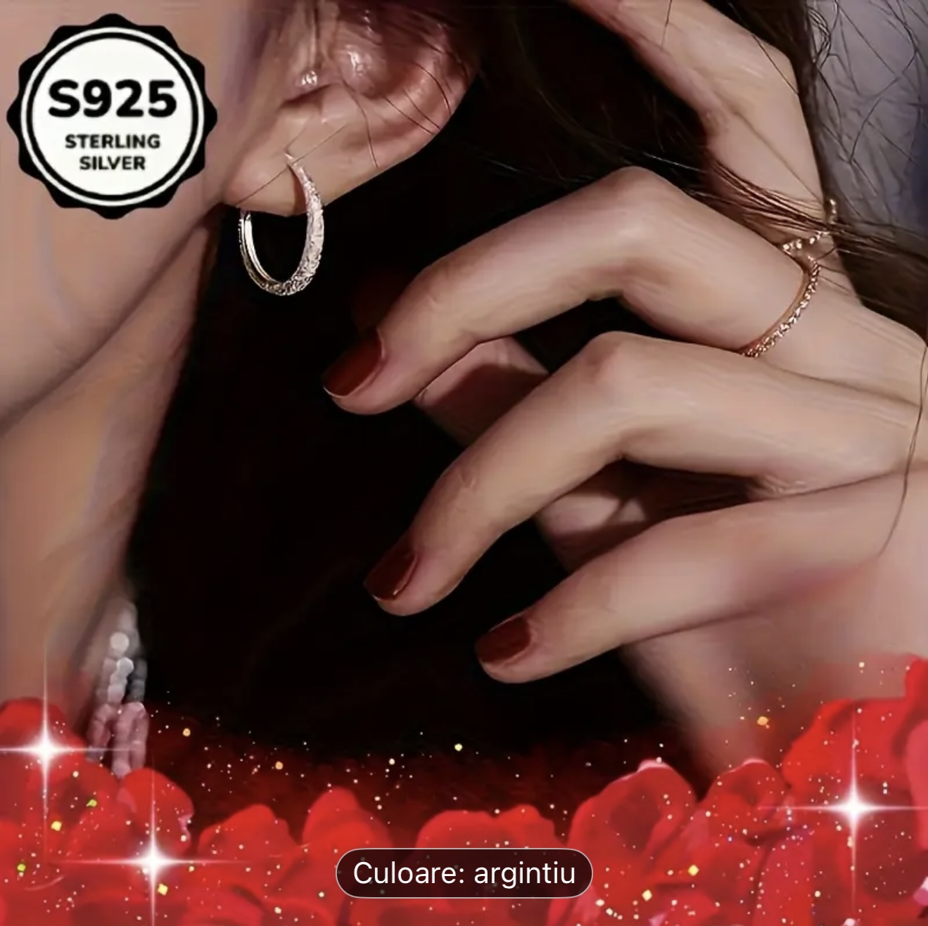 Cercei cu cerc de argint