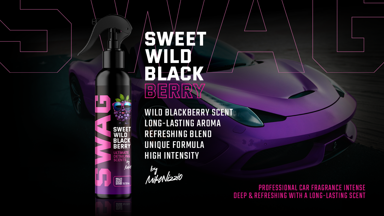 Car Fragrance Swag SWEET WILD BLACKBERRY