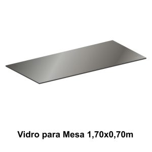 VIDRO FUME 1.70X0.70M - 21430