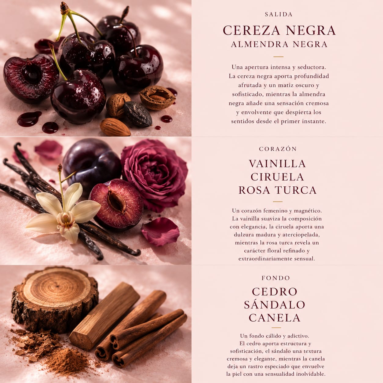 CERISE