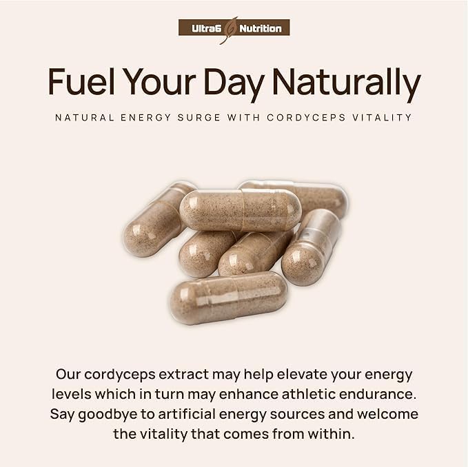 Melena de León Reishi Cordyceps