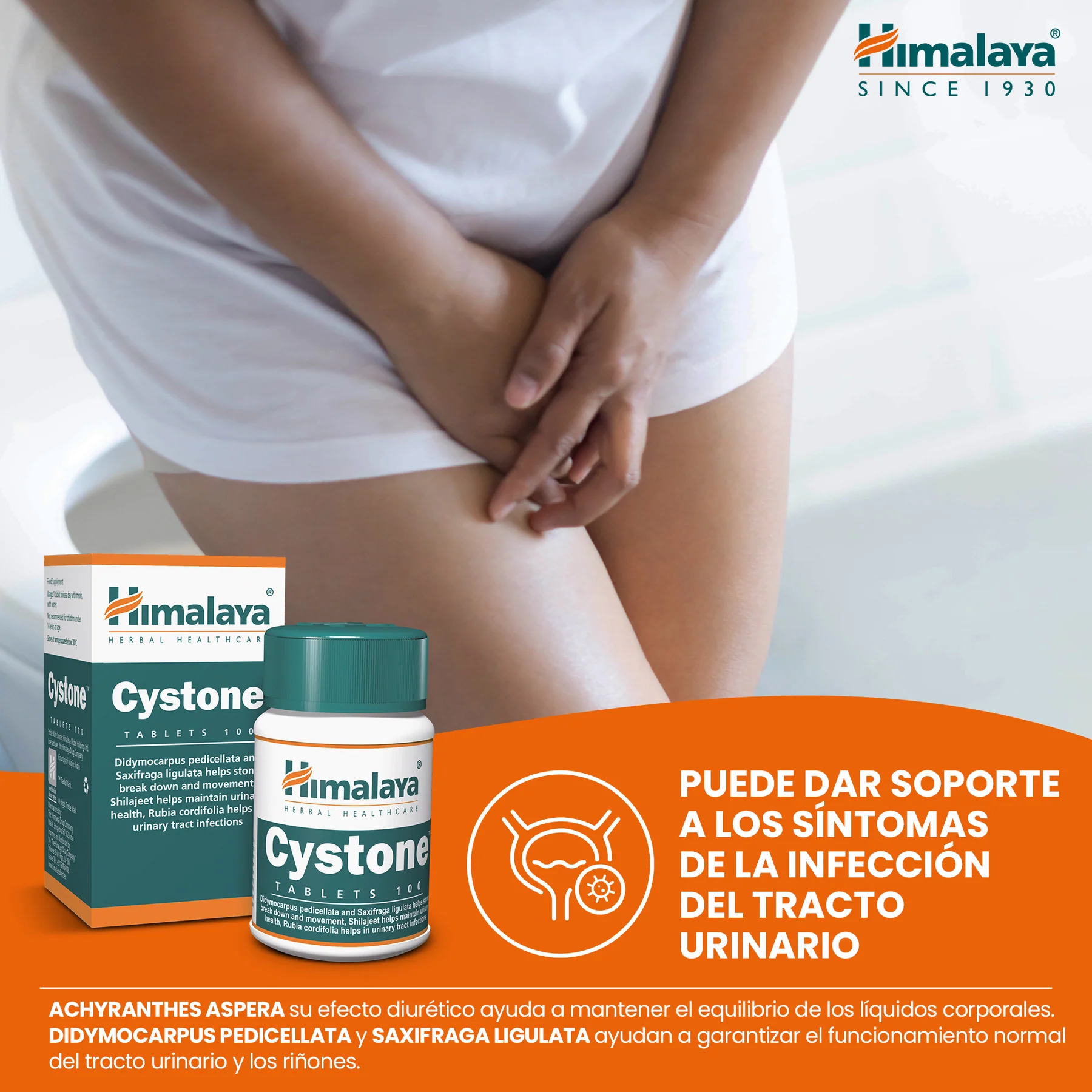 Cystone Himalaya 60 tabletas