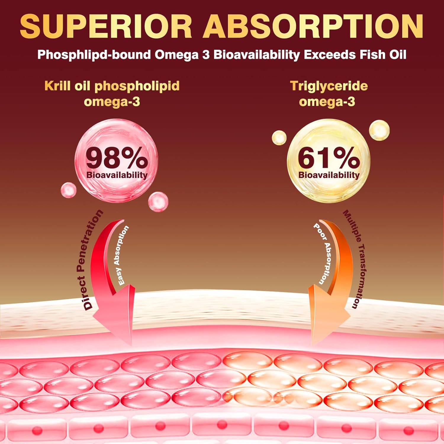 Aceite de krill antártico 1200mg