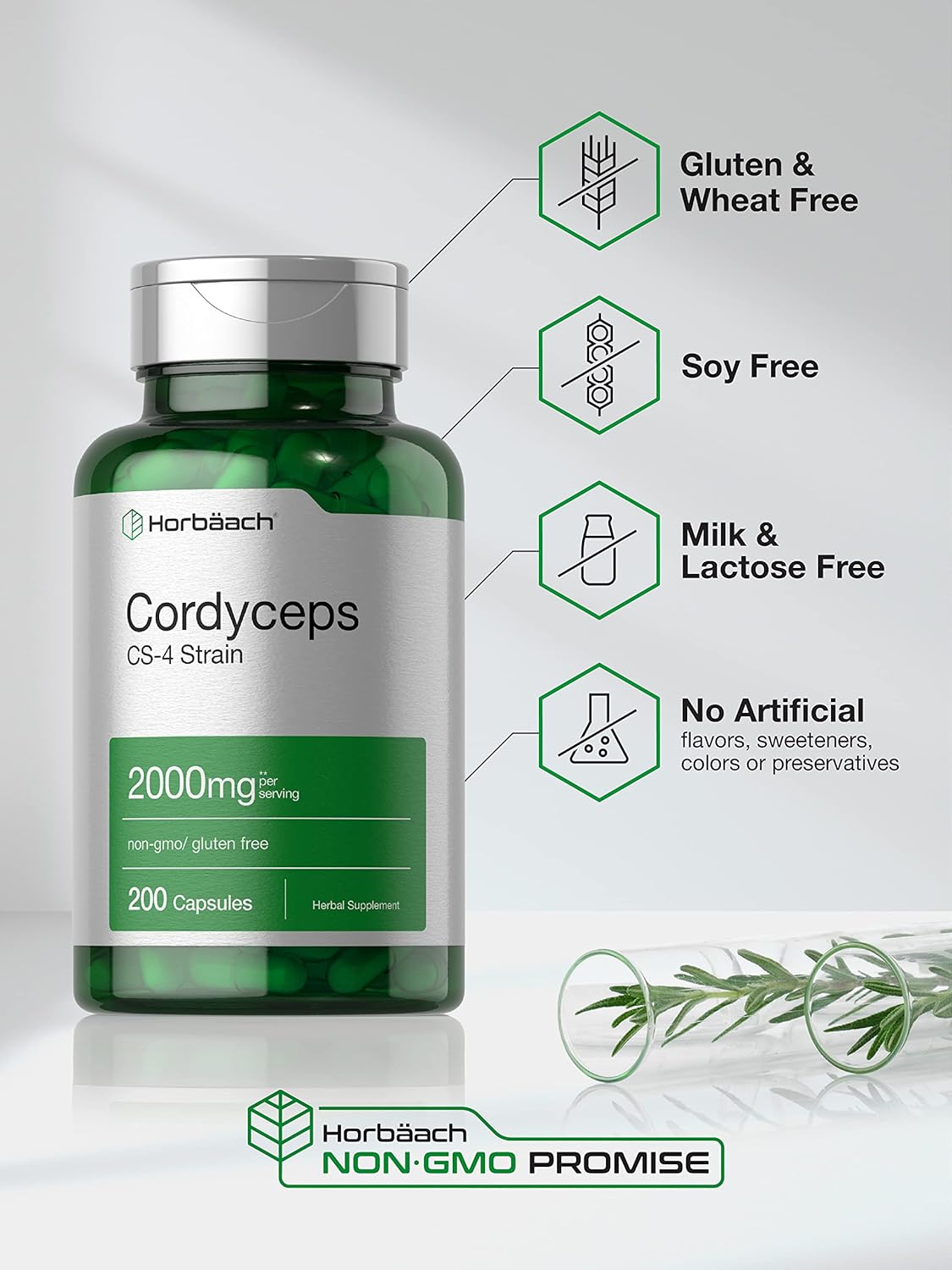 Cordyceps CS-4 Strain 2000mg