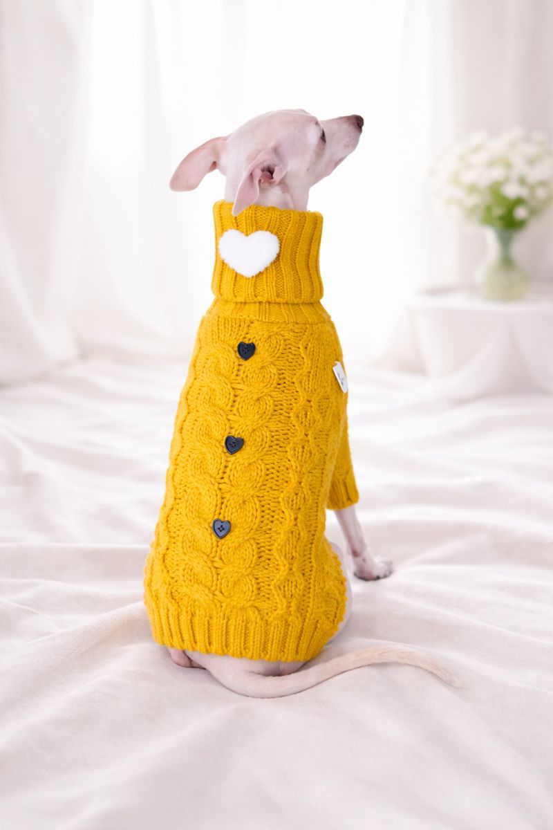 Strickpullover für ital. Windspiele