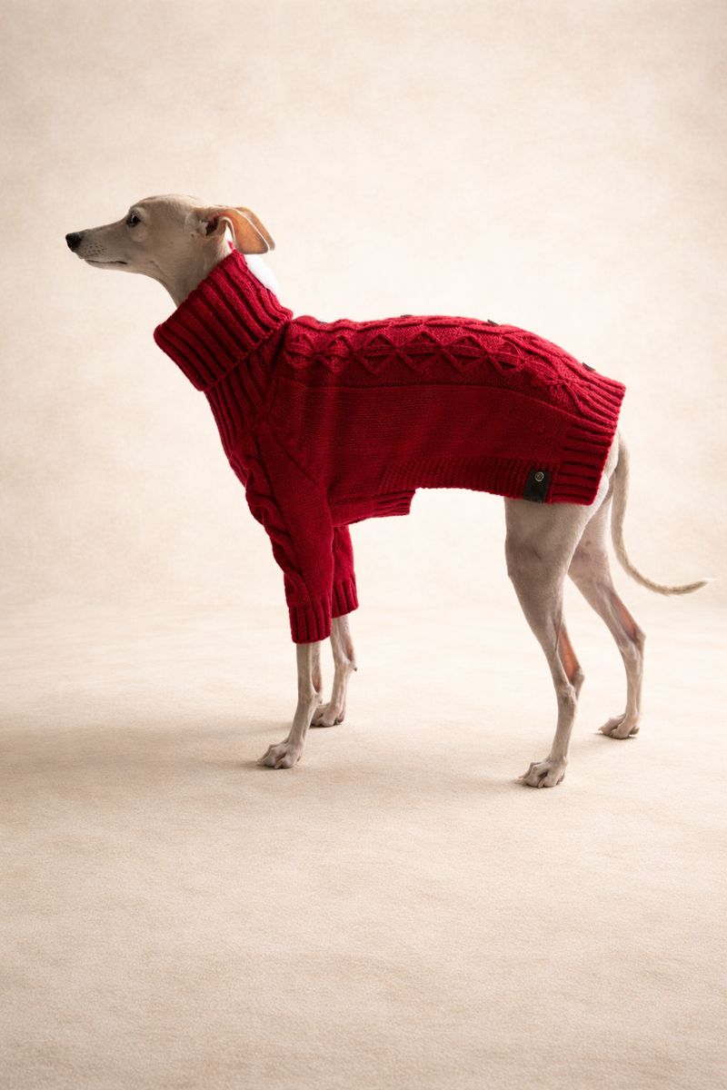 Strickpullover für ital. Windspiele