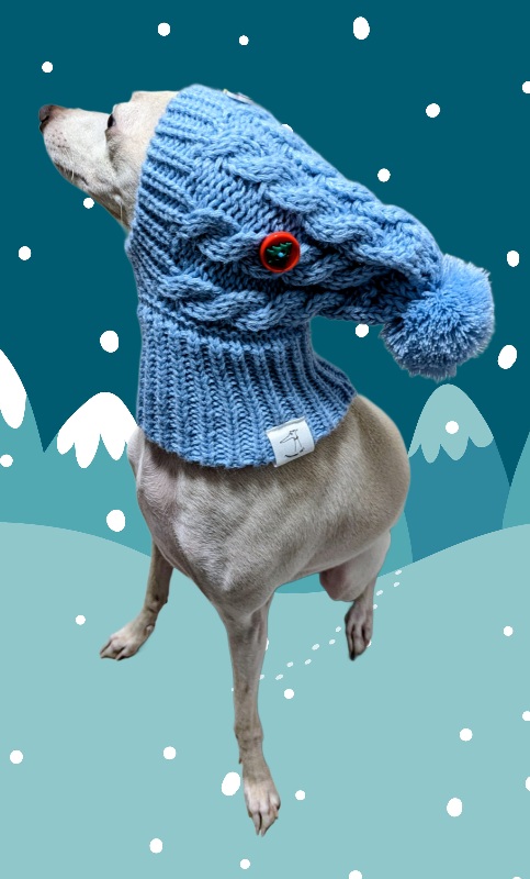 Hundestrickmütze mit Winterdekoration