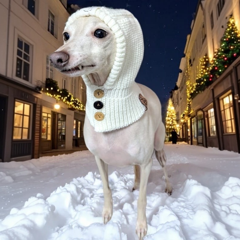 Hundewollmütze mit Winterdekoration