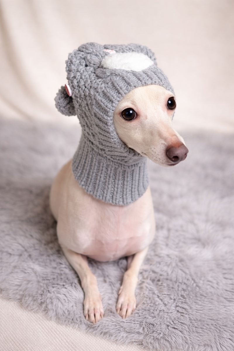 Graue Strickmütze für ital. Windspiele