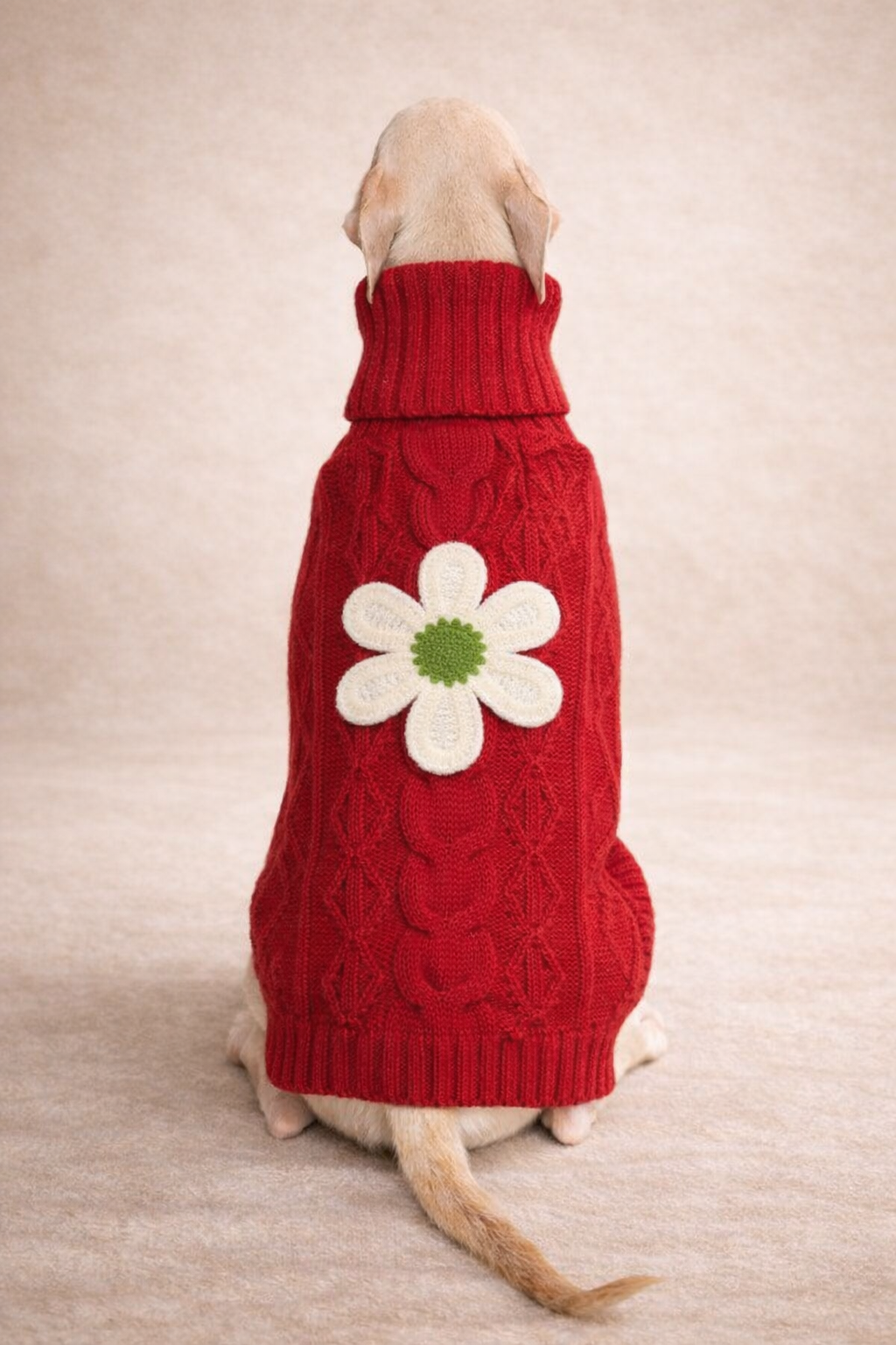 Strickpullover für ital. Windspiele