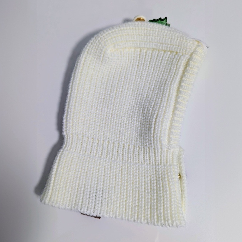 Hundewollmütze mit Winterdekoration