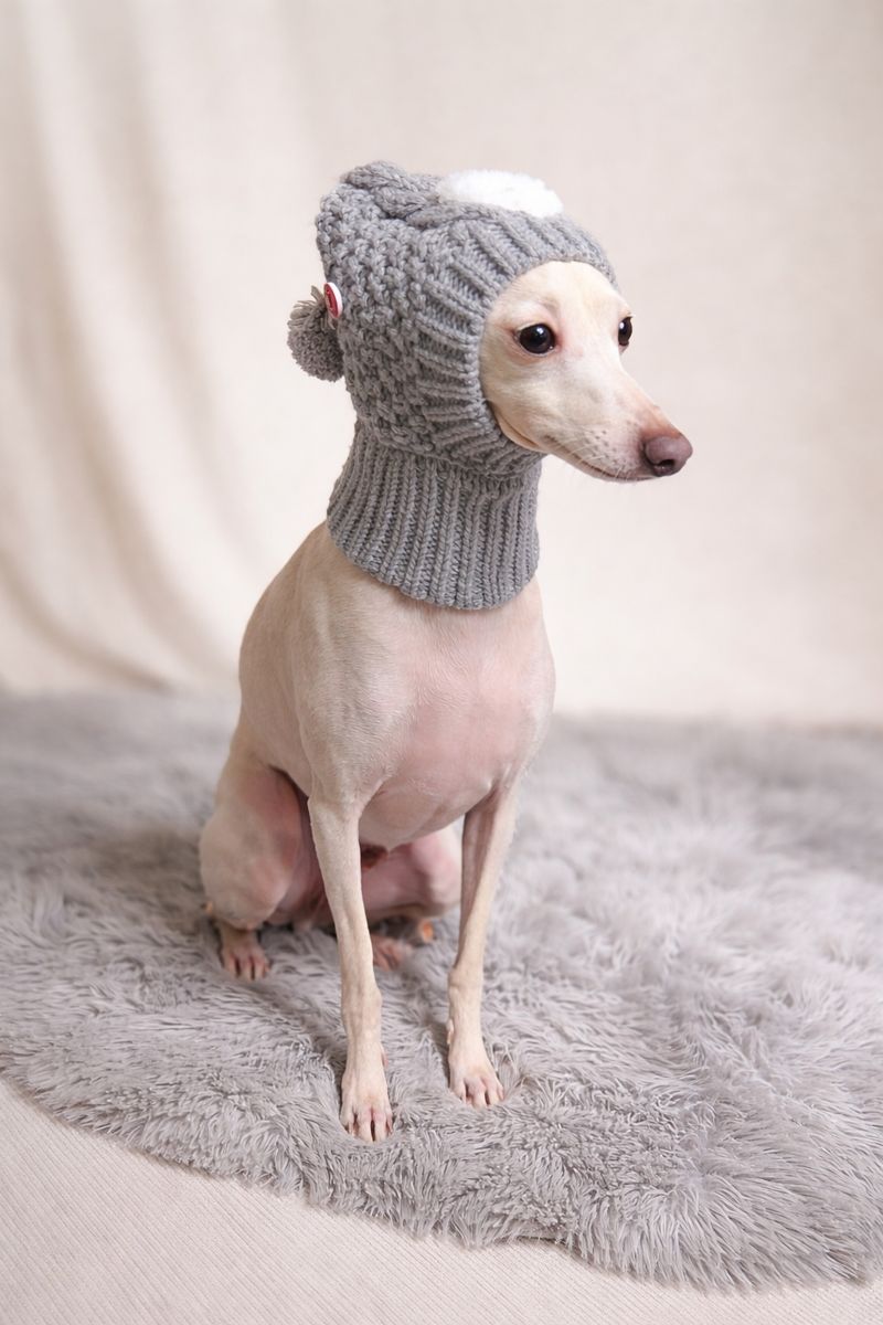 Graue Strickmütze für ital. Windspiele