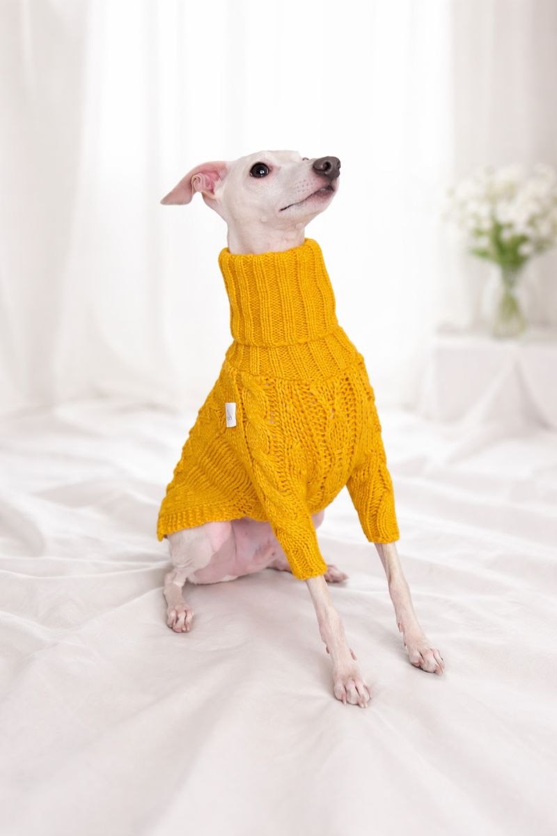 Strickpullover für ital. Windspiele