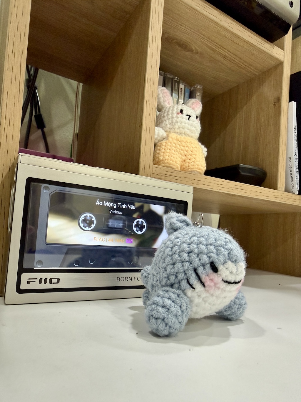 🦈 Cá Mập Béo Vui Tính