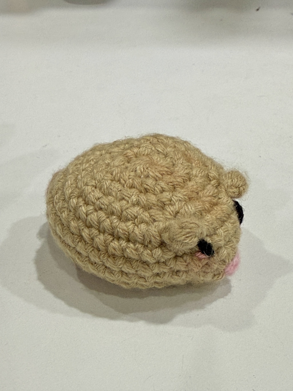 🐹 Chuột Hamster