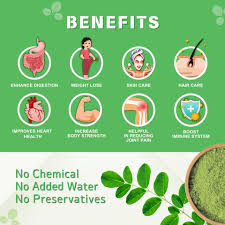 Premium Moringa Powder – Wholesale Bulk Supply