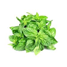 Basil Leaves