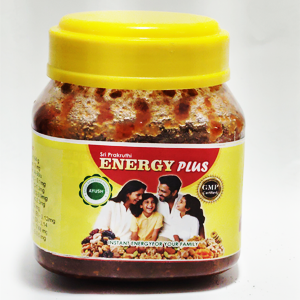 Energy Plus
