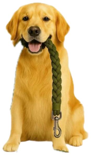 Correa de ahogo o adiestramiento